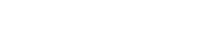 vaneck logo